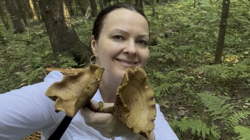 Свинушка тонкая (Paxillus involutus)