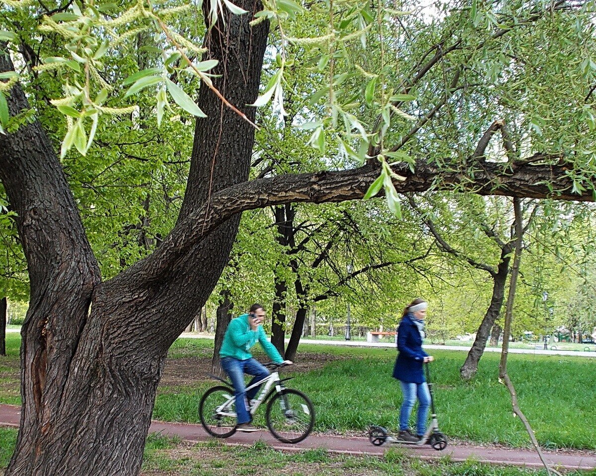 Студия Активного Здоровья