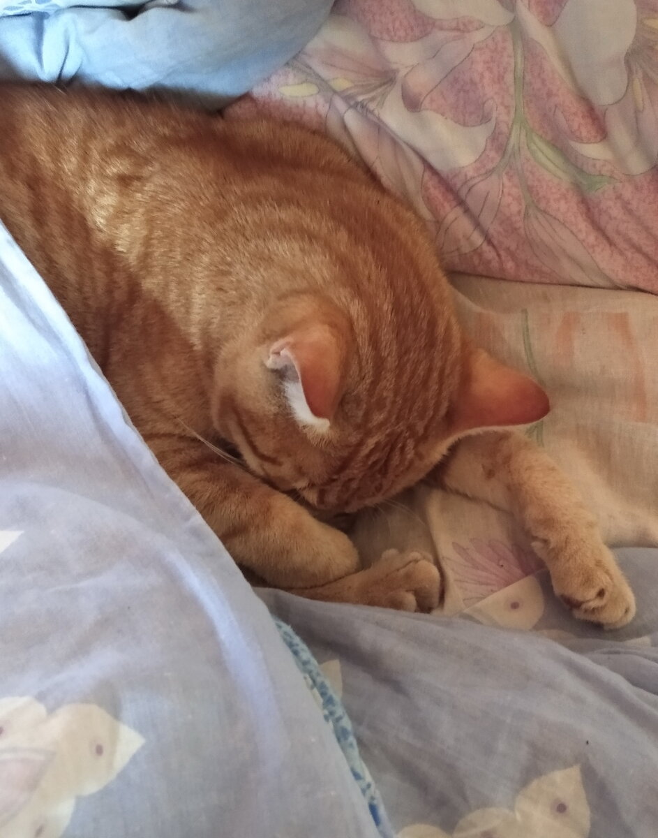 Личное фото.   
