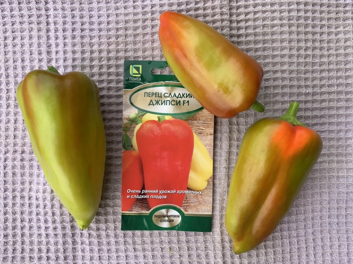 Цвет плоды набрали в итоге точно такой как на фото.