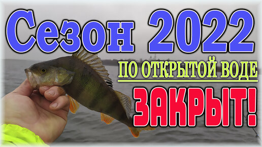 Закрытие ЛЕТНЕГО СЕЗОНА - 2022 по открытой воде. ОКУНЬ и ЩУКА не дают скучать!