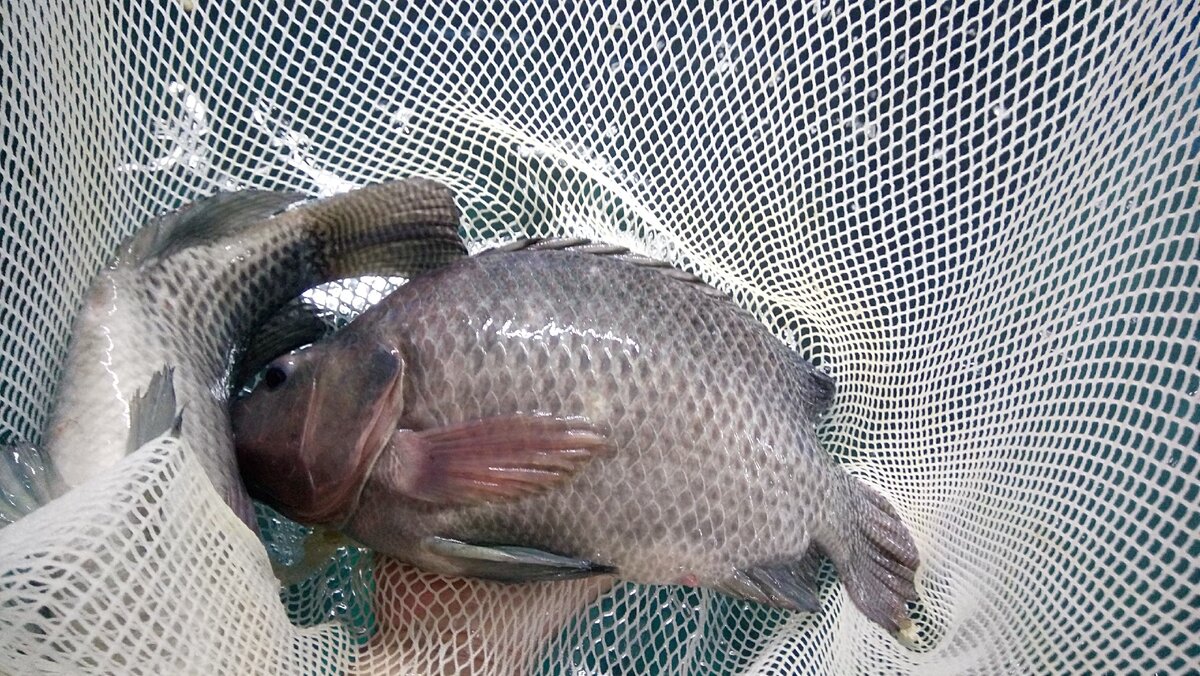 Фото из личного архива.