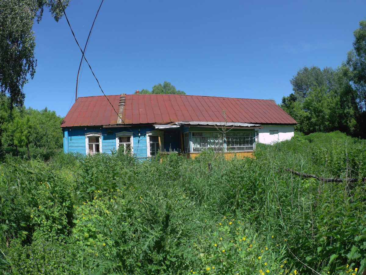 Красивый заброшенный дом пока не купили. В нем можно жить бесплатно.  Вернулись в деревню спустя год | МИР ПРОШЛОГО | Дзен