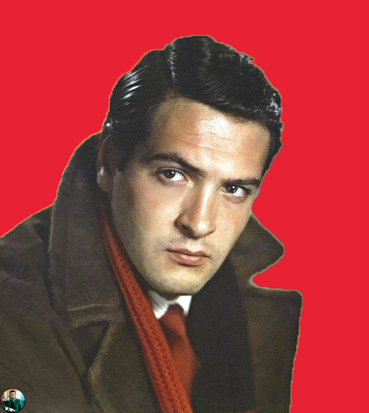 Васильев Ю.