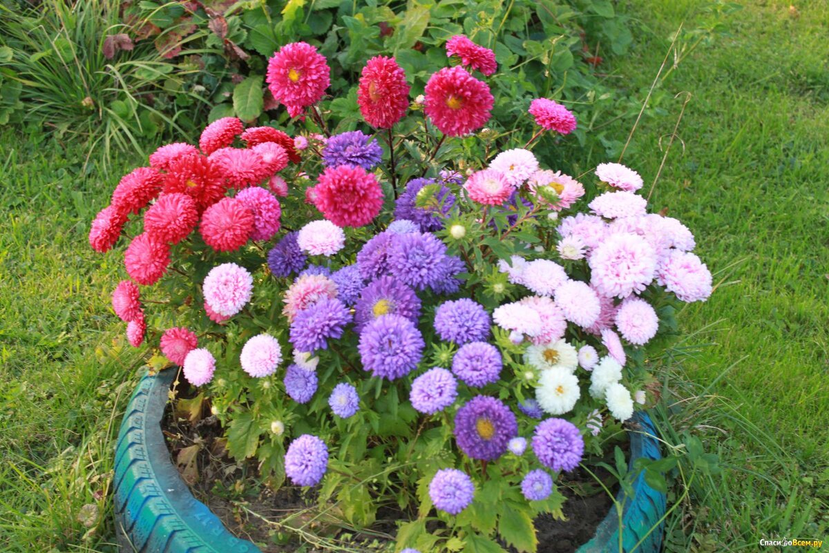 Фото из Интернета