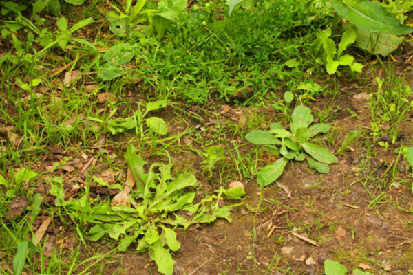 Вот она проблема