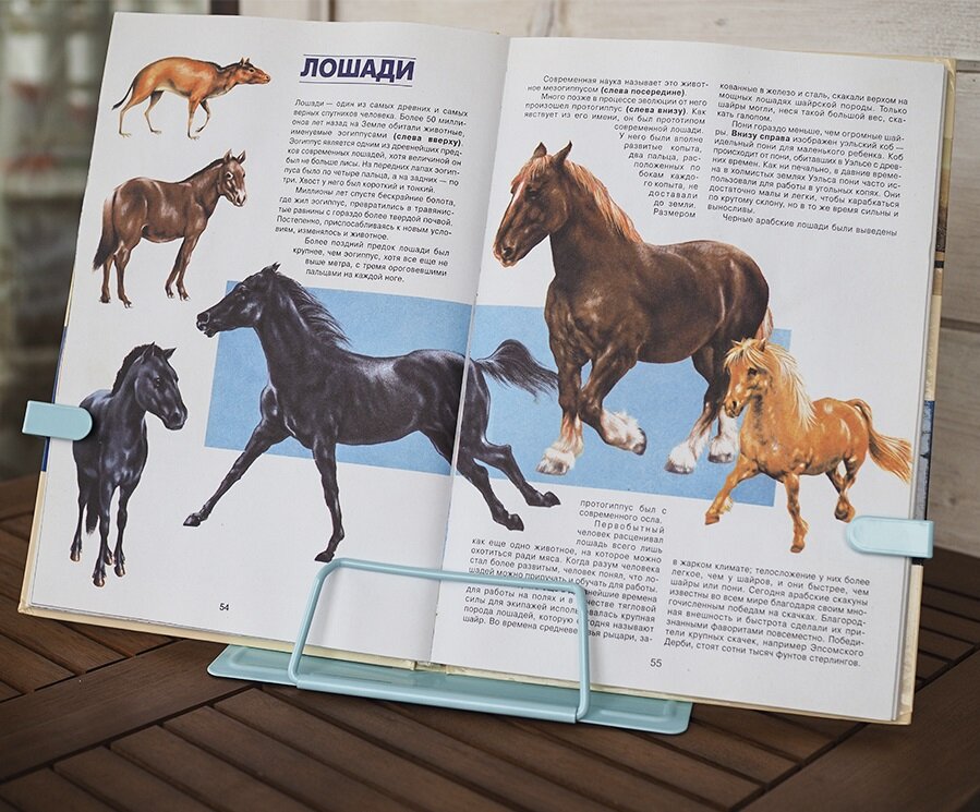 Боковые держатели надежно фиксируют книгу в раскрытом положении.