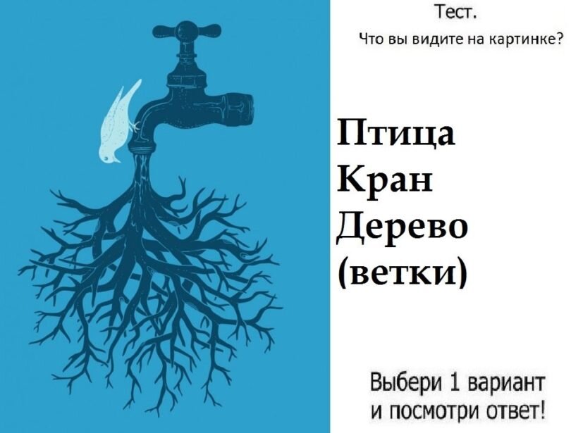 Дзен тесты в картинках