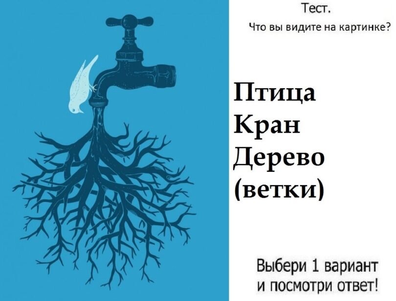 Как работают психологические тесты с картинками