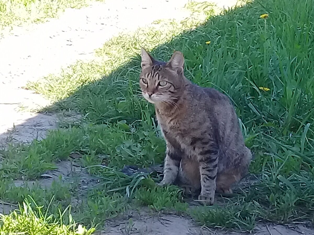 Гопник Вася)))