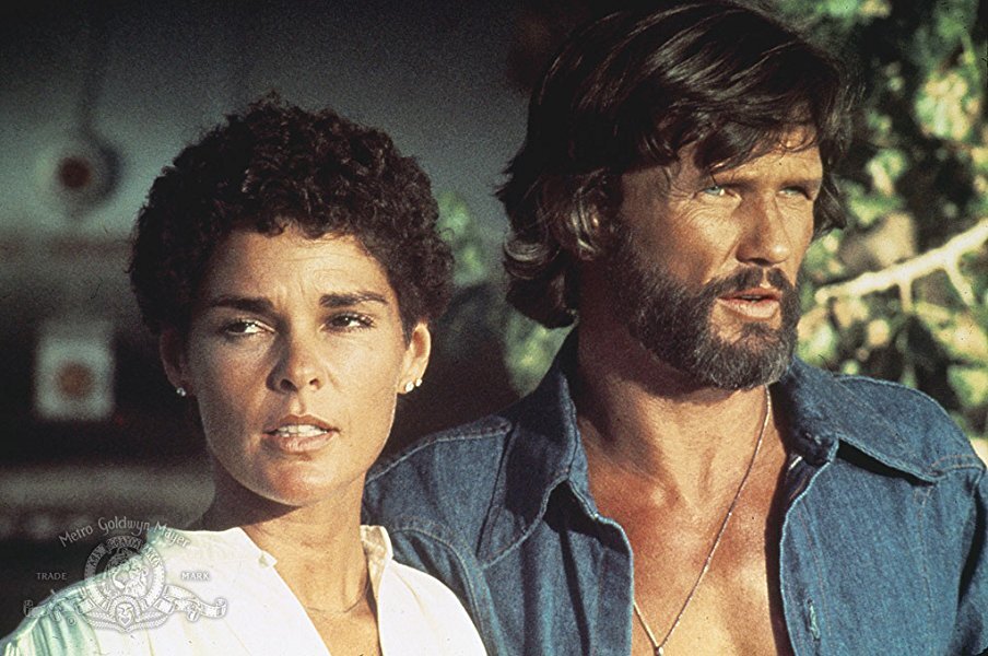 Здравствуйте уважаемые.
Закончим с нами нашу небольшую серию.
Конвой/ Convoy(1978 год) Режиссер Сэм Пекинп

Шикарный фильм про дальнобойщиков. Все пацаны во дворе хотели быть похожими на Резинового Утенка :-)
