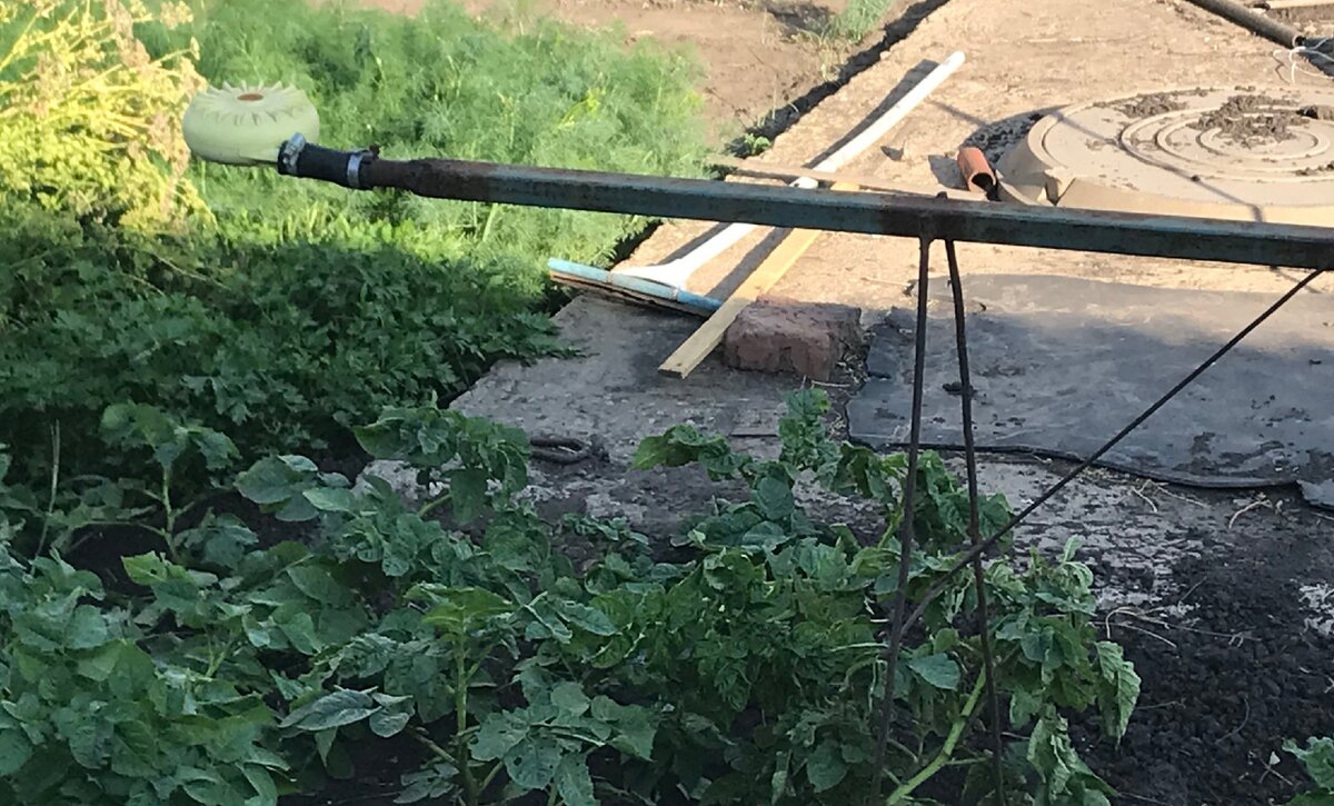 Надетая улитка на конец трубы.