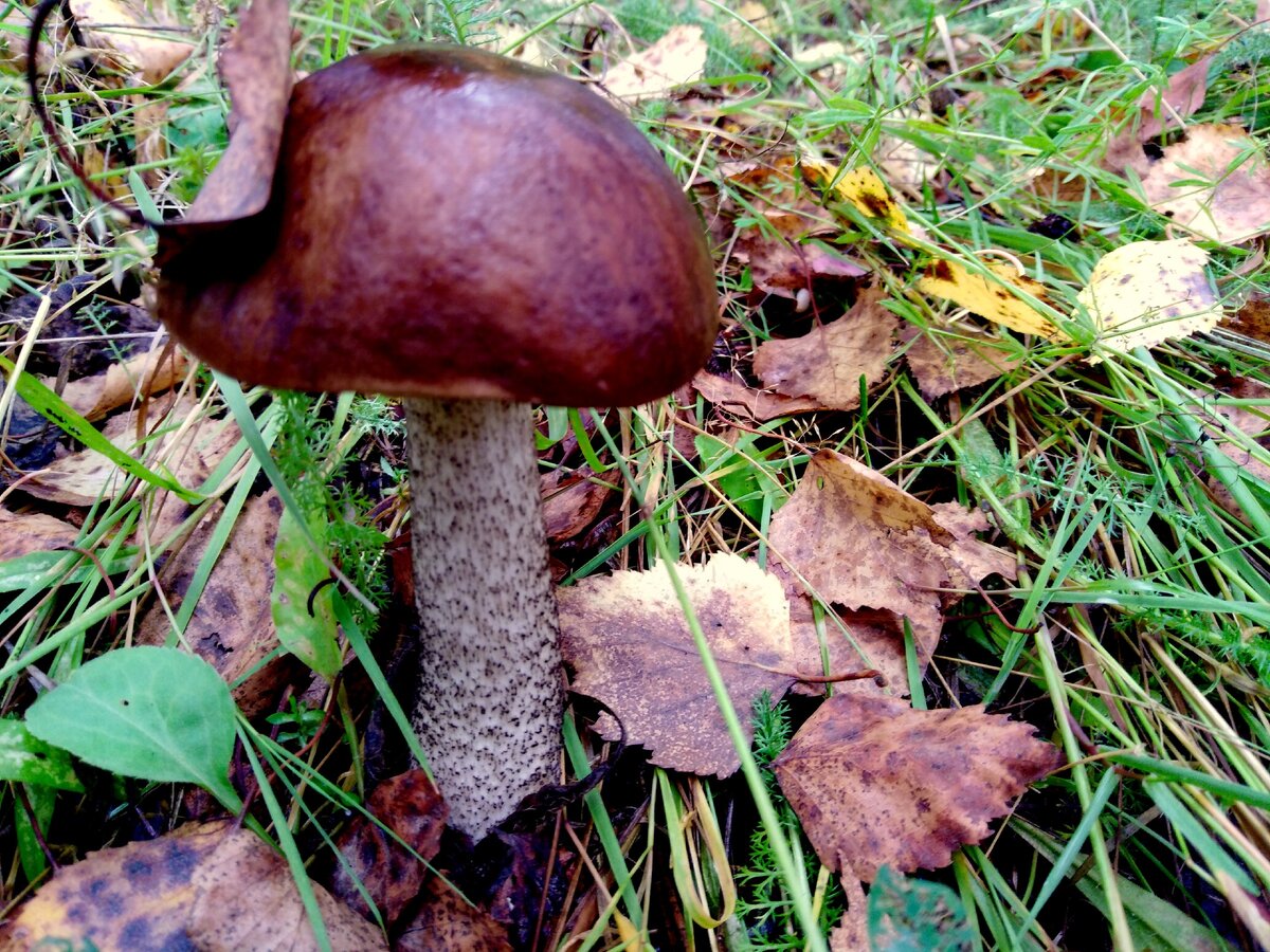 Фото автора.