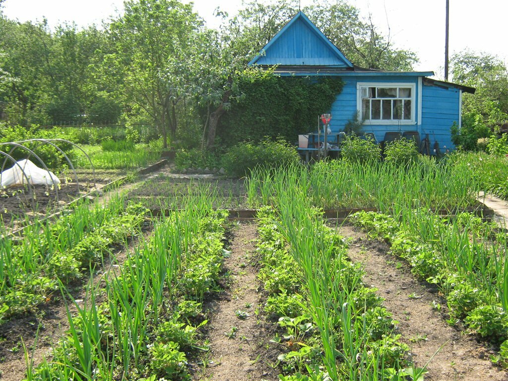 Картинка с интернета.