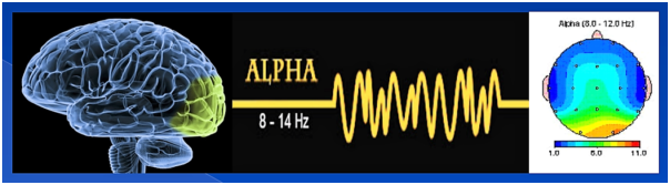 Альфа мозг. Альфа ритмы головного мозга. Альфа волны мозга. Альфа частоты мозга. Альфа колебания головного мозга.
