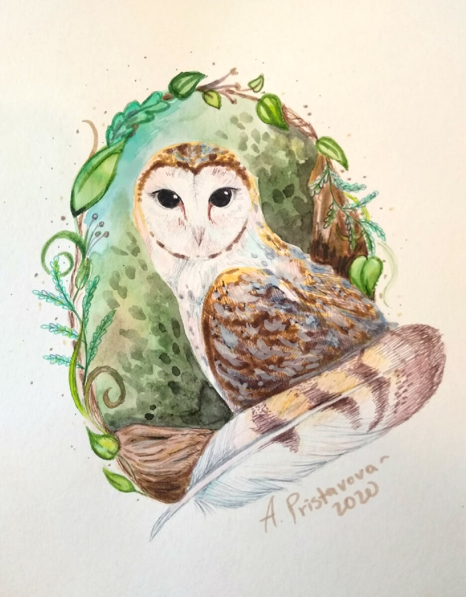 Иллюстрация для лесного марафона