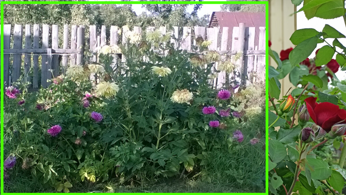 Ставьте "класс" и подписывайтесь на канал!