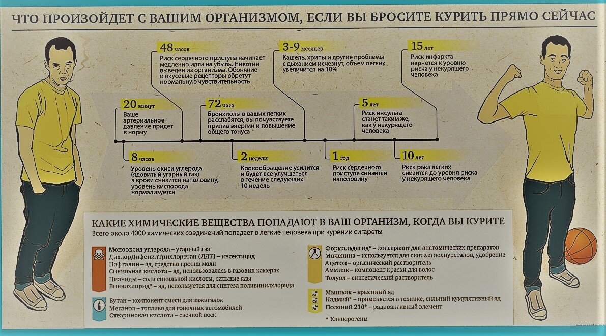 Через сколько перестанут. Легкие бросившего курить по дням. Бросил курить что происходит. Организм после бросания курения. Если бросить курить.