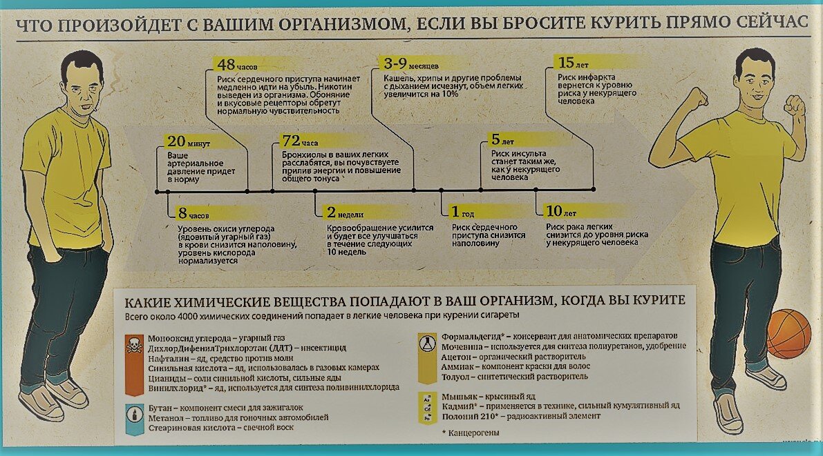 Что будет если резко бросить. Легкие бросившего курить по дням. Бросил курить что происходит. Организм после бросания курения. Если бросить курить.