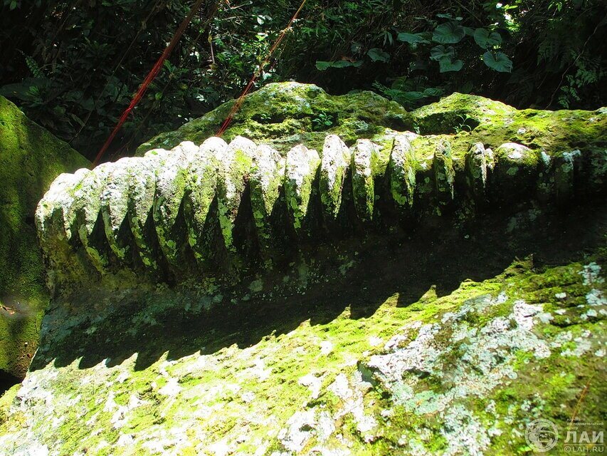 открытый источник [1]