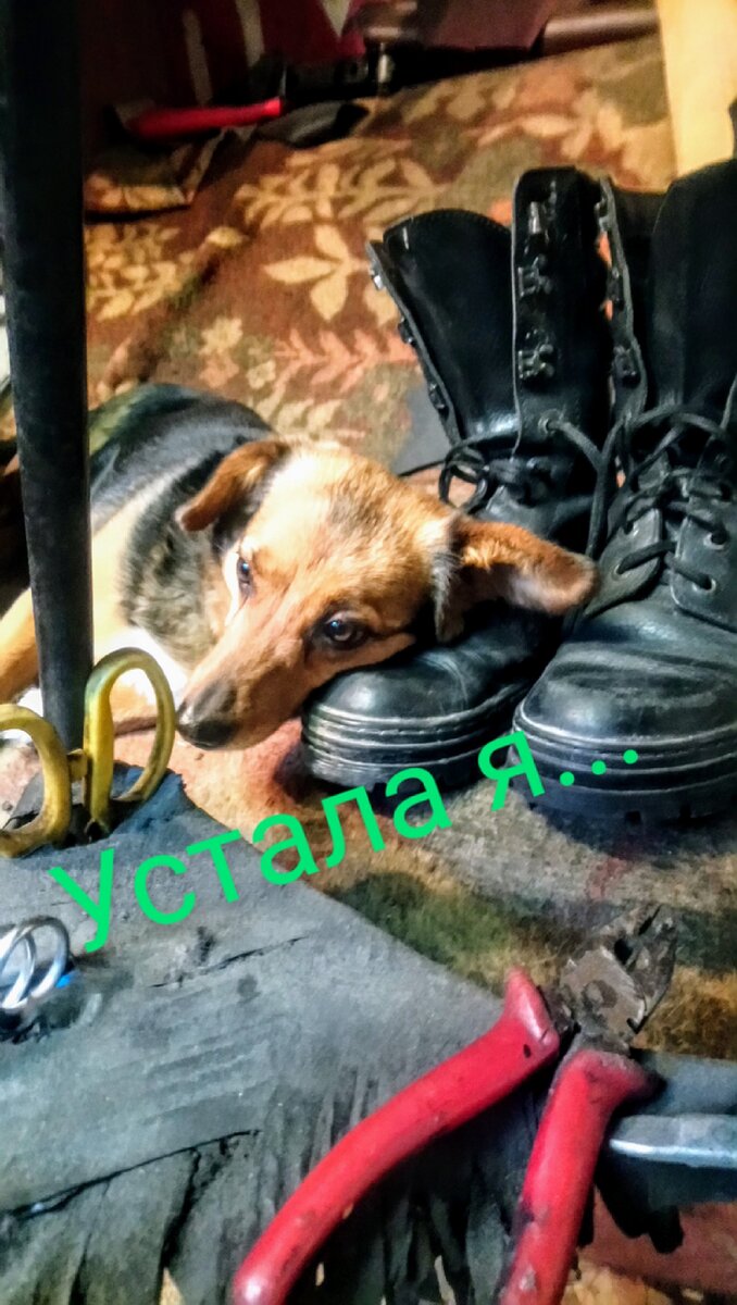 Чапа-Меркель.