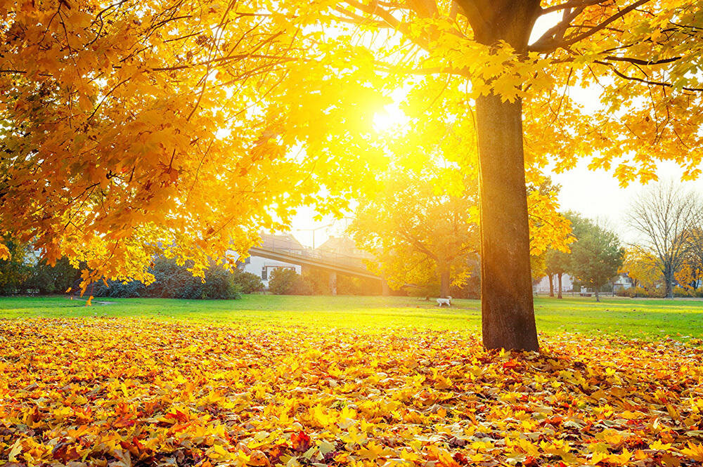 Выпавшие карты: Смерть, 2 Жезлов, Иерофант. Личные отношения - Влюблённые. Работа - Правосудие. Рекомендвция - 8 Пентаклей.