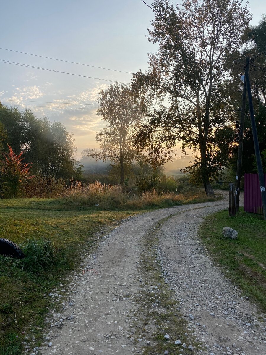 Утро в деревне