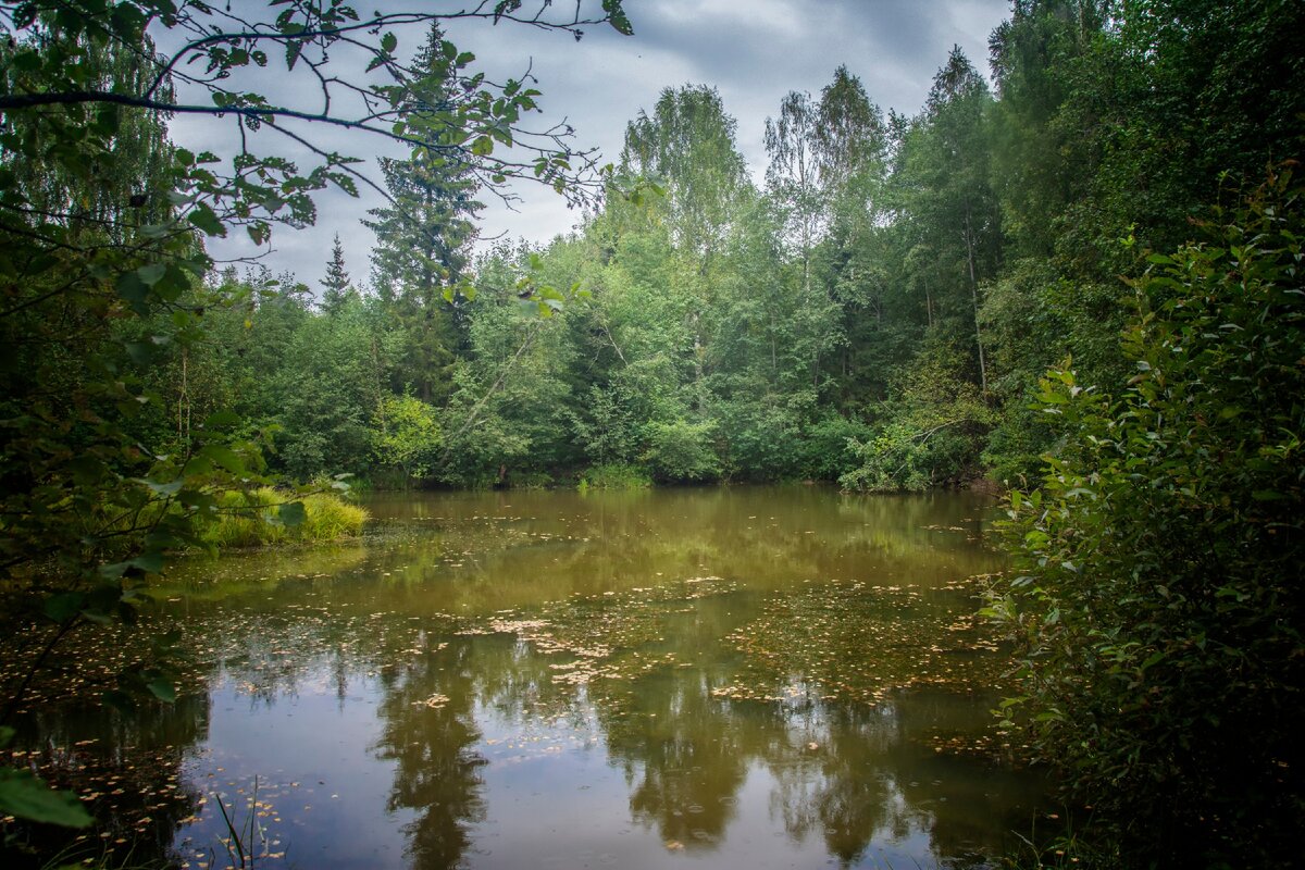 фотография автора канала.