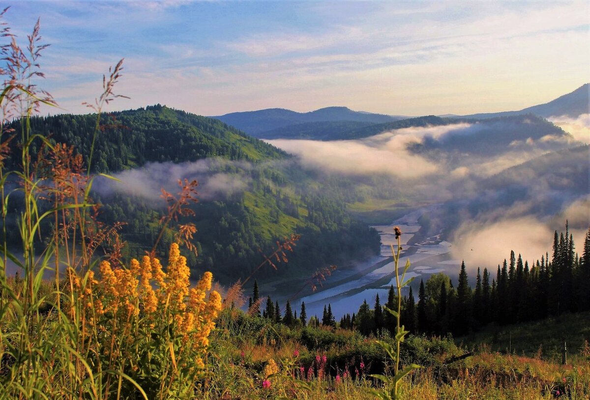 Фото с etosibir.ru