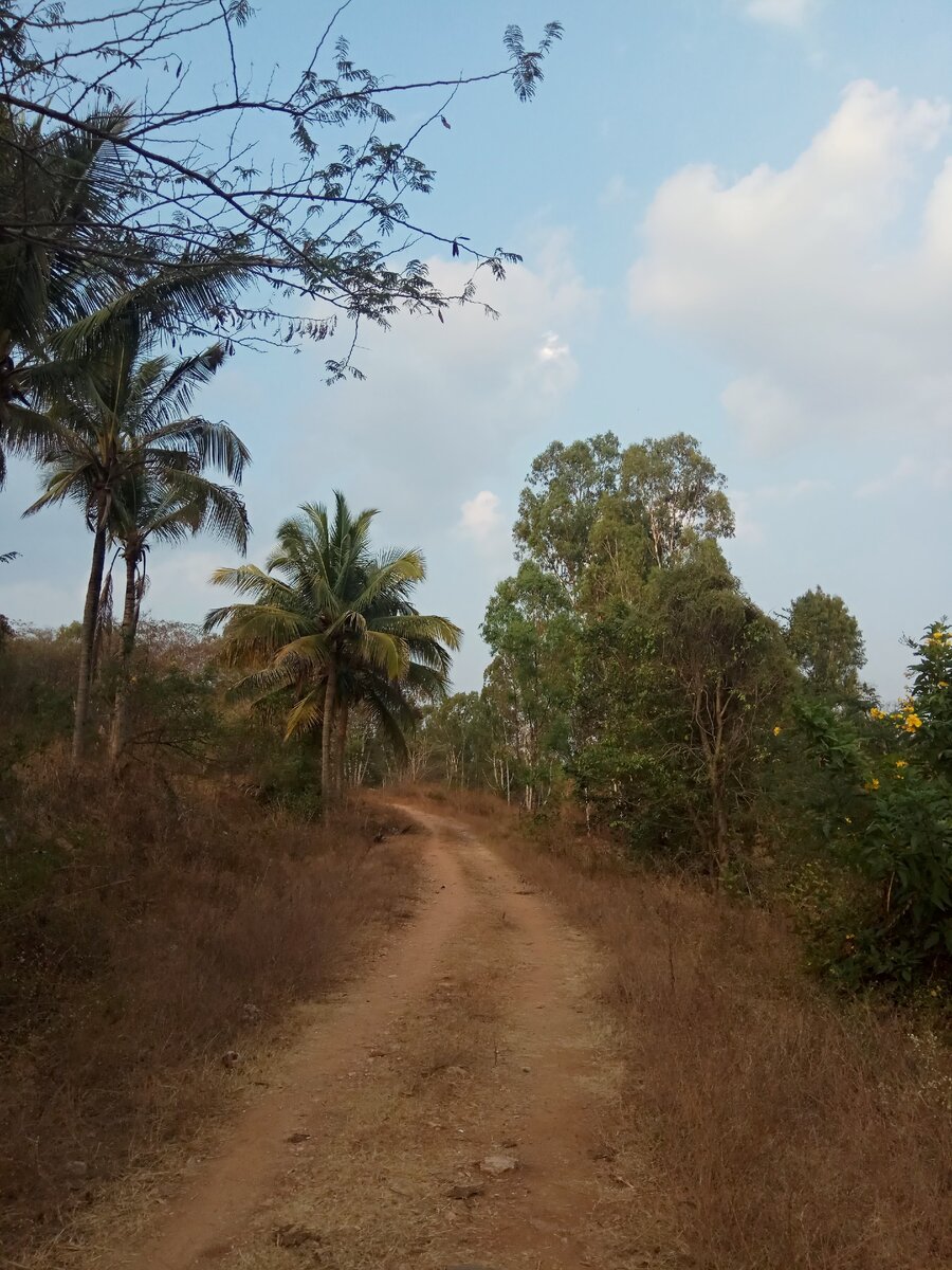 Территория S-VYASA, Бангалор, Индия