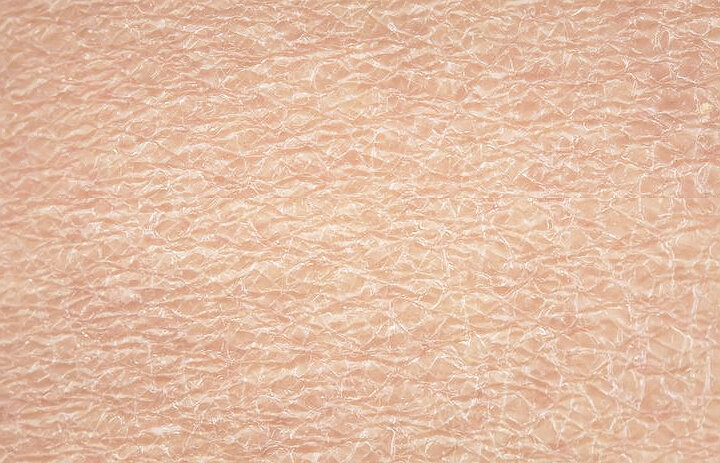 Фото из свободного доступа сети Интернет