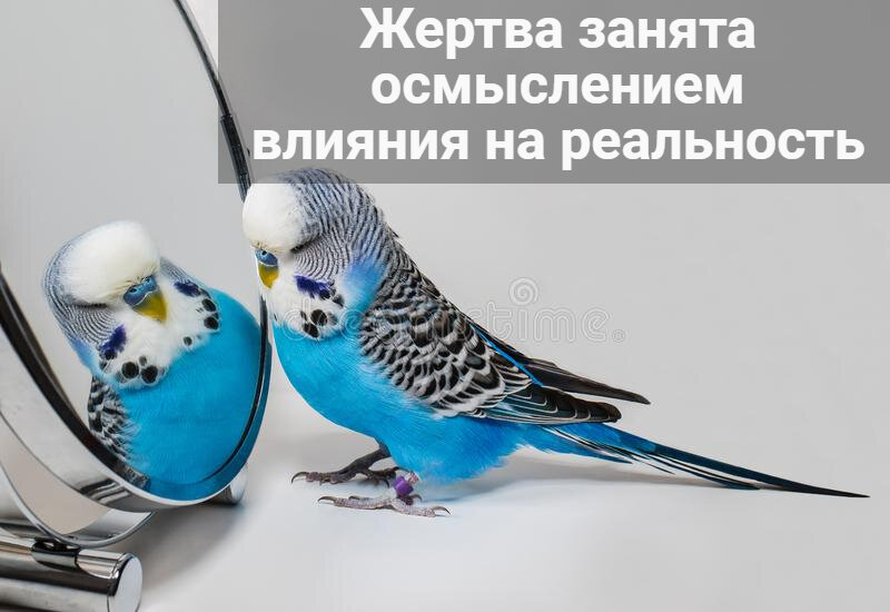 фото для иллюстрации взято из открытых источников