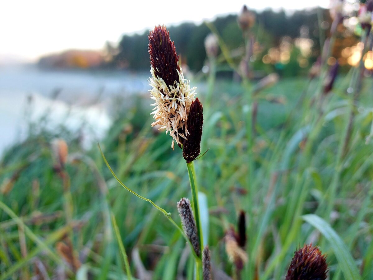 Красивый кадр