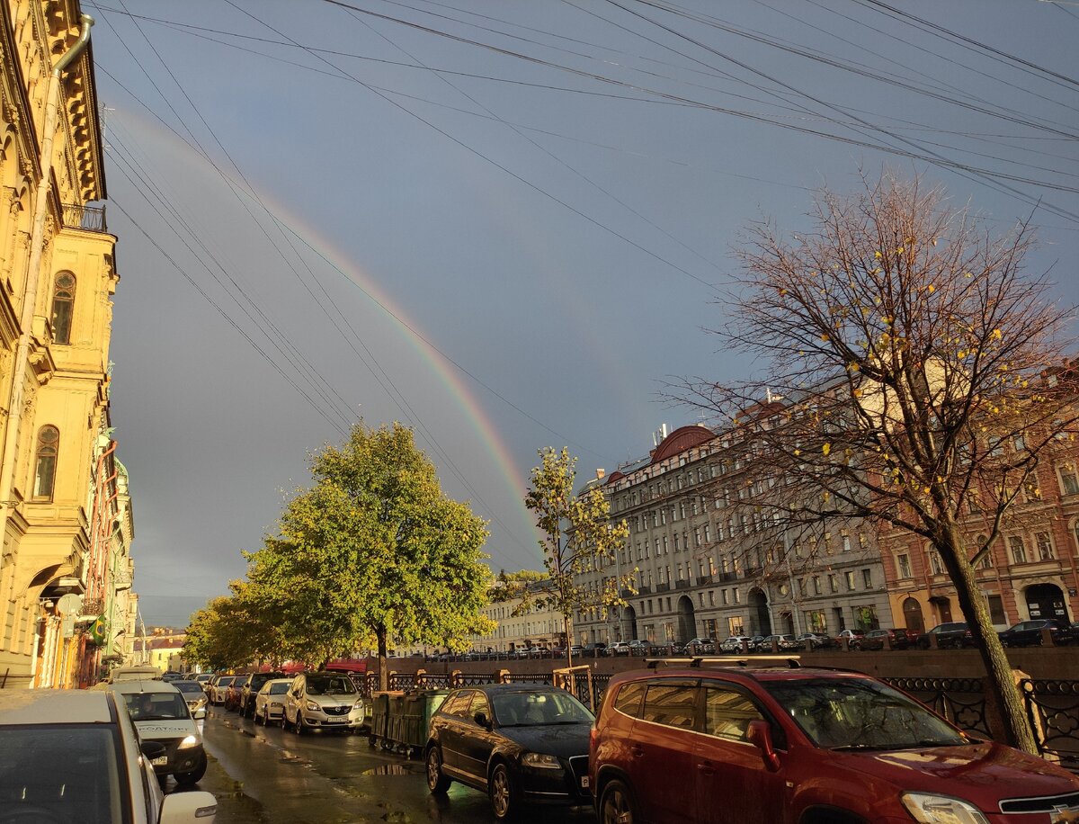 Это радуга 🌈 она не боится быть собой, несмотря на очевидное превосходство урбанизации. 