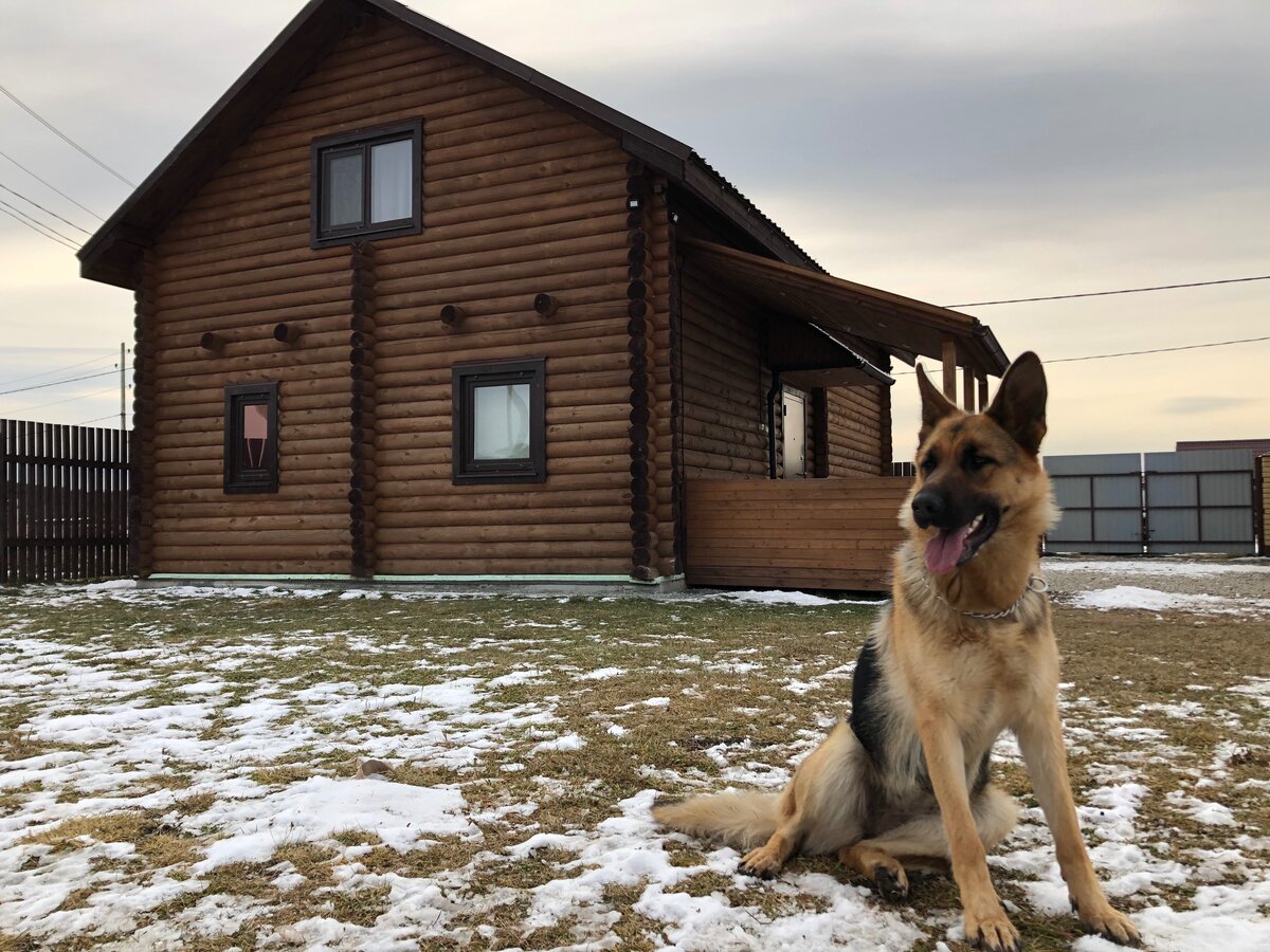 Наша любимица)