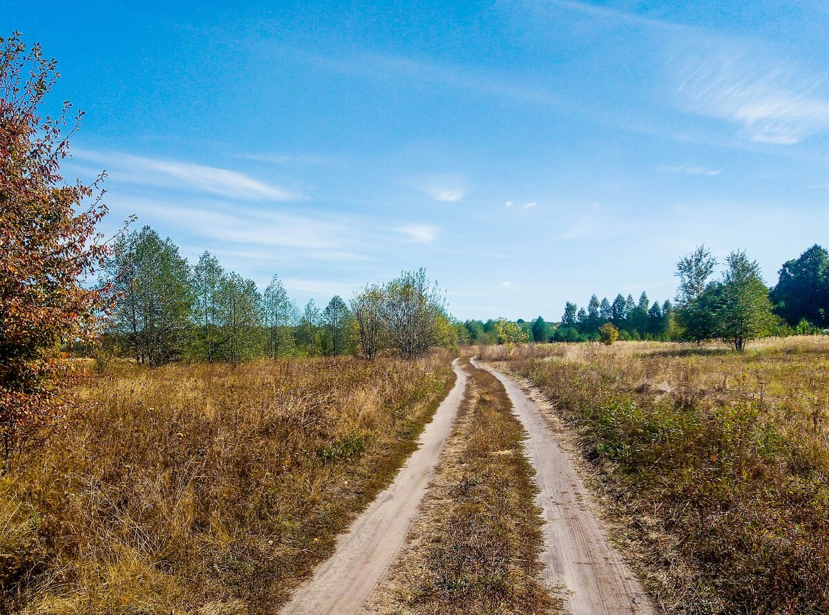 Приехали в деревню Писаревку, но не встретили там ни одного жителя, почти  все дома были огорожены высокими заборами | Прекрасное рядом | Дзен