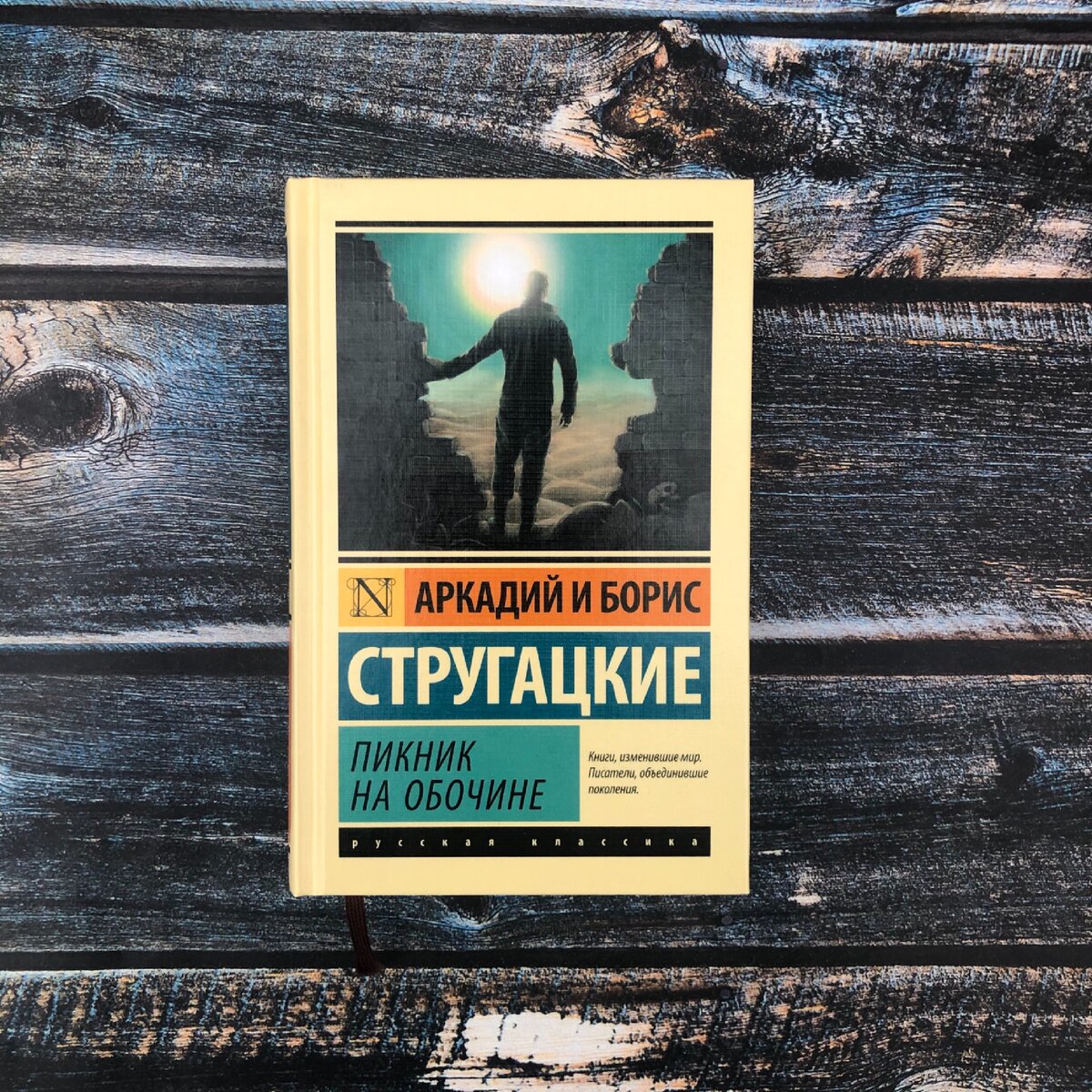 "Пикник на обочине" Аркадий и Борис Стругацкие. Обзор книги, рецензия на книгу.