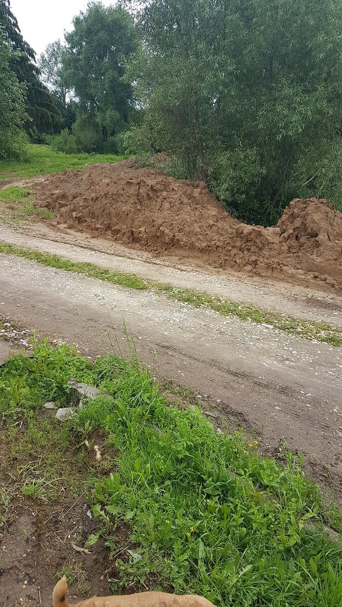 Вид от моего дома