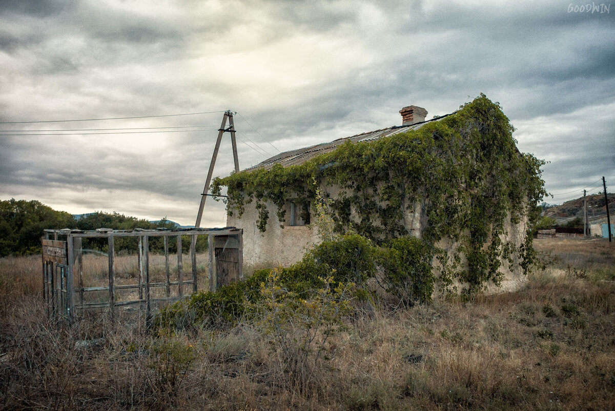 Фотосессия для подруги у заброшенного дома в Крыму | Фотограф Гудвин | Дзен