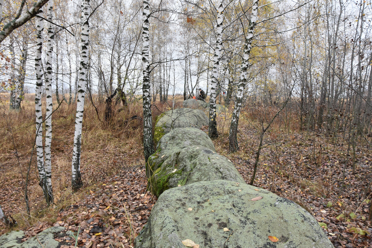 Фото Олега Золотарева