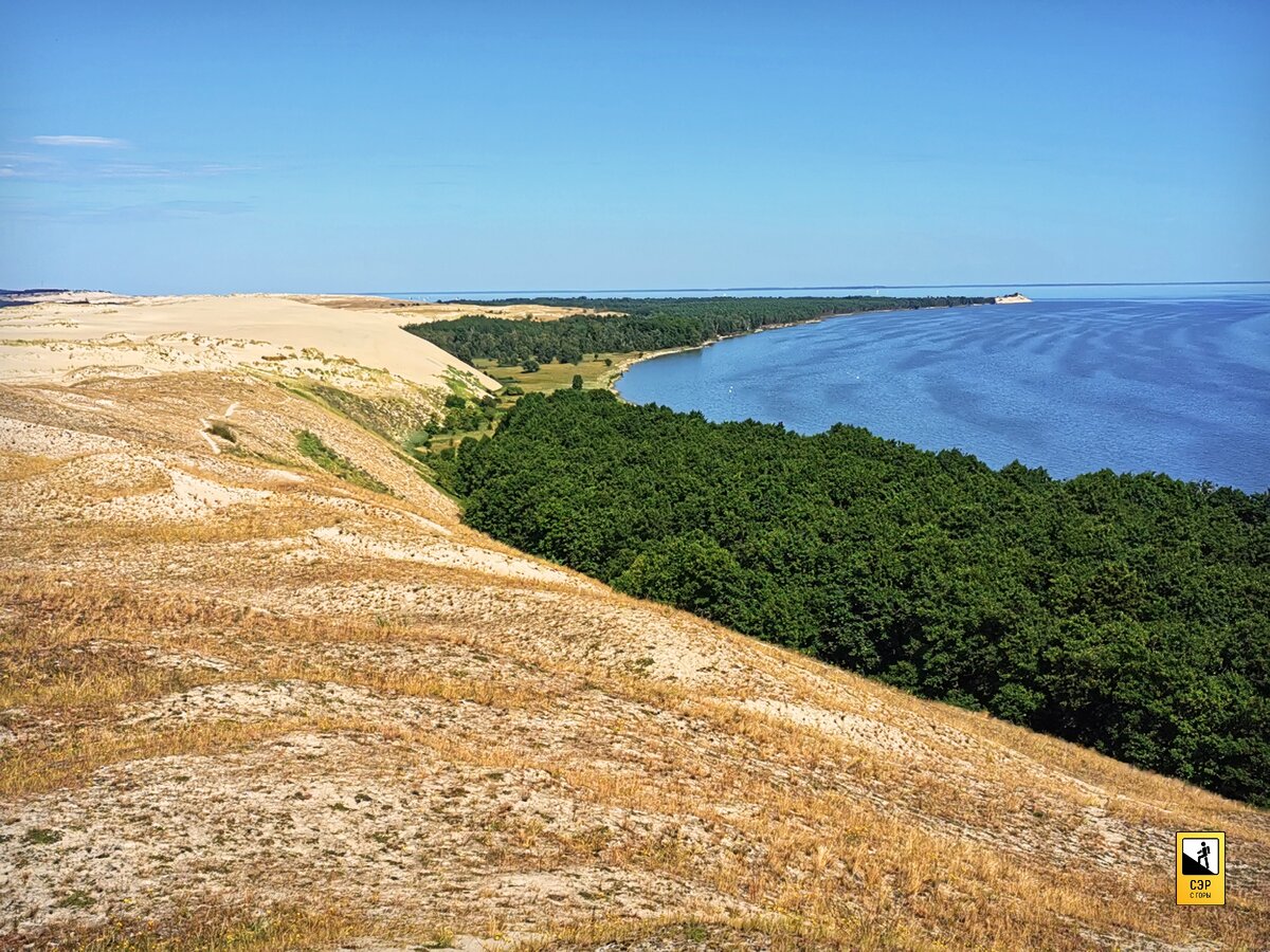 Куршская коса места для бердвотчинга