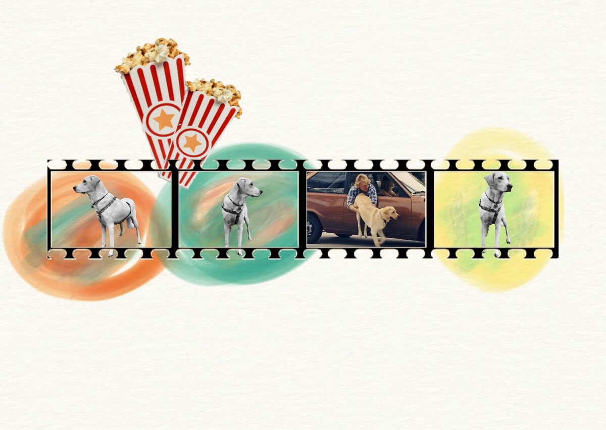 Кадр из фильма и картинки для иллюстрации взяты из сети Интернет