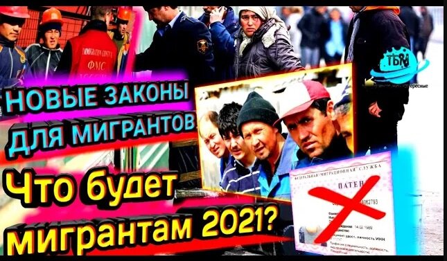 НОВЫЕ ЗАКОНЫ, ТРУДОВОЙ ПАТЕНТ, ВНЖ И РВП