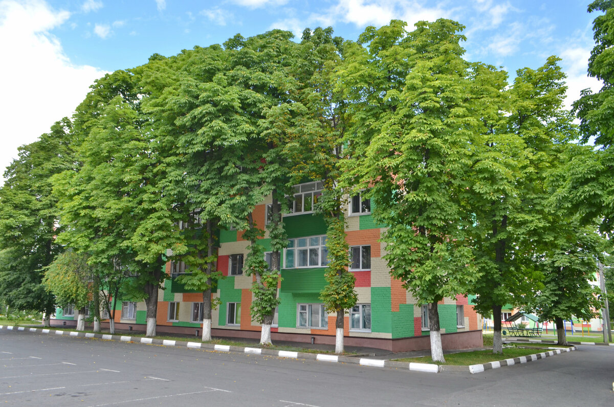 Школа зеленая улица