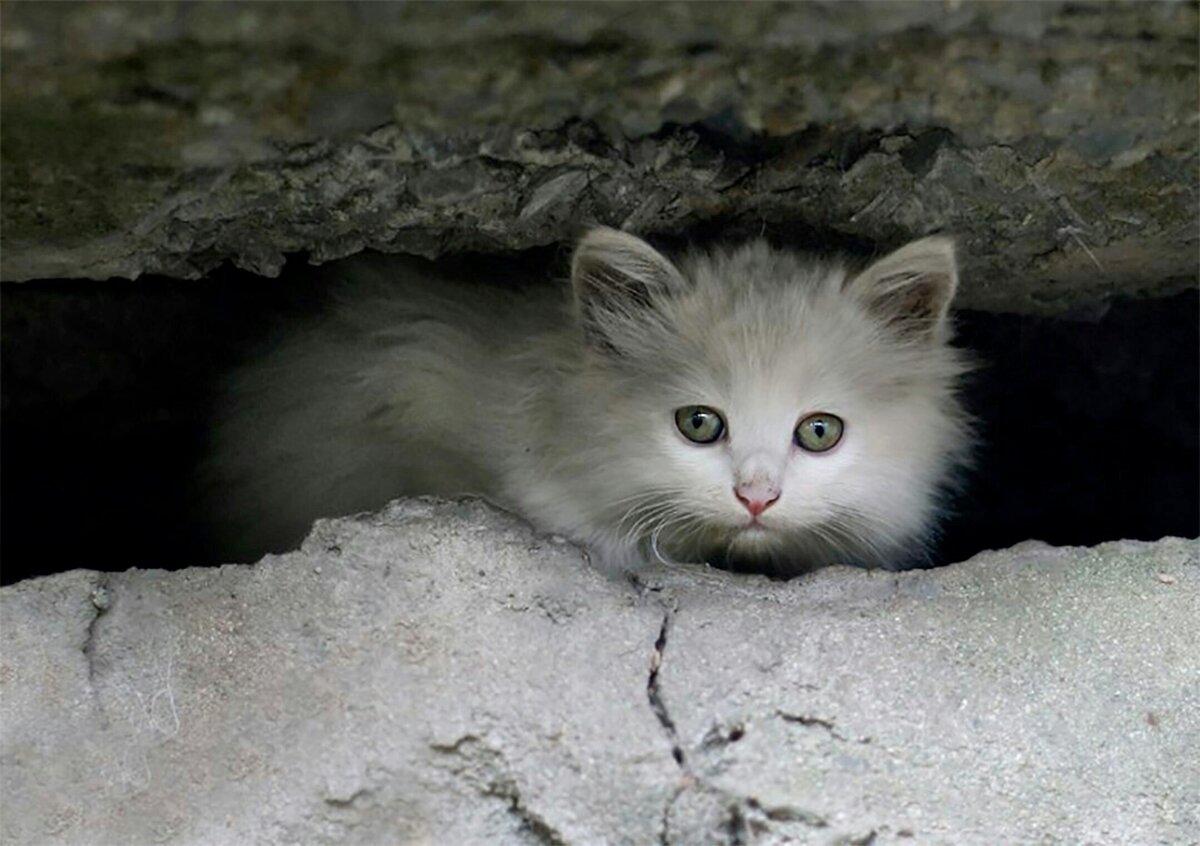 Фото из Интернета