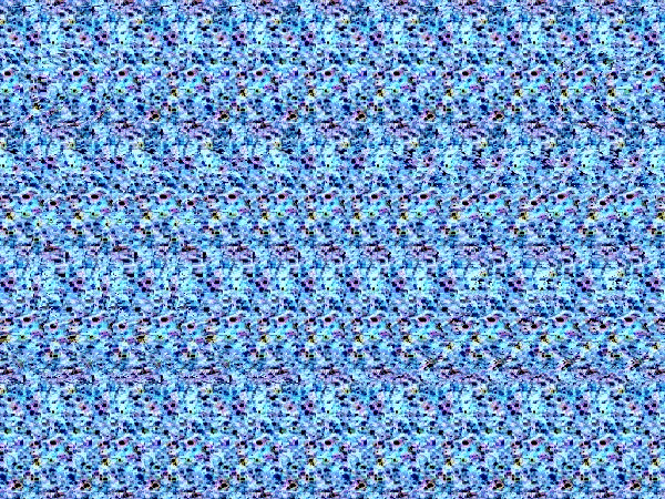 #движущаясястереокартинка