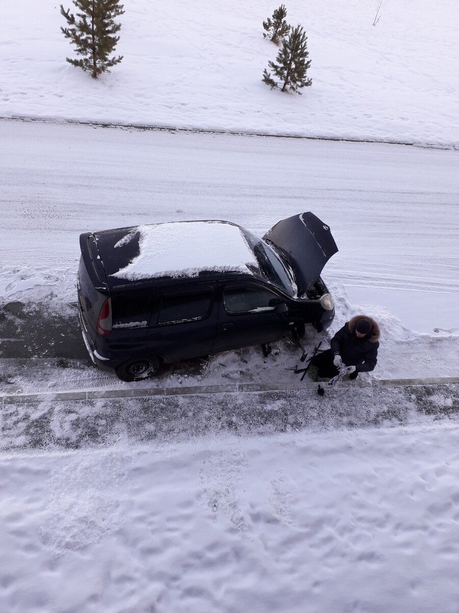 Кипит работа. Фото автора