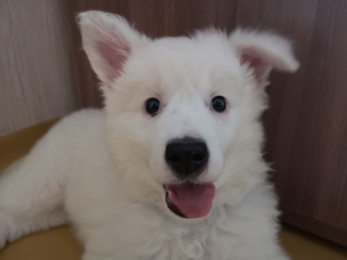 Юсино детство, 2019 г