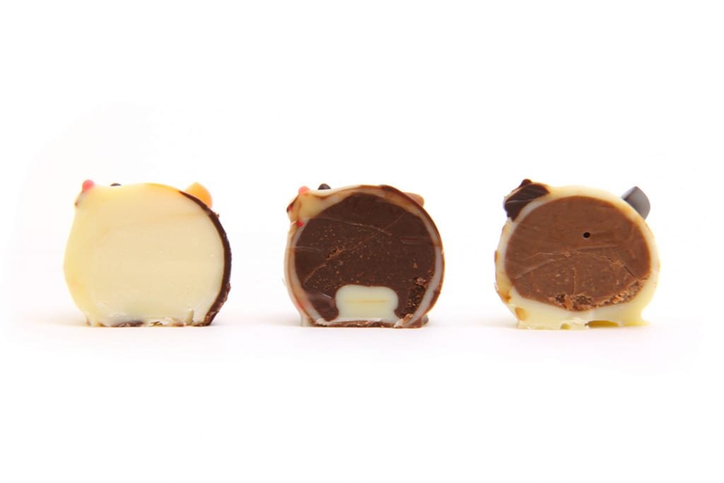 "Animal Chocolat"