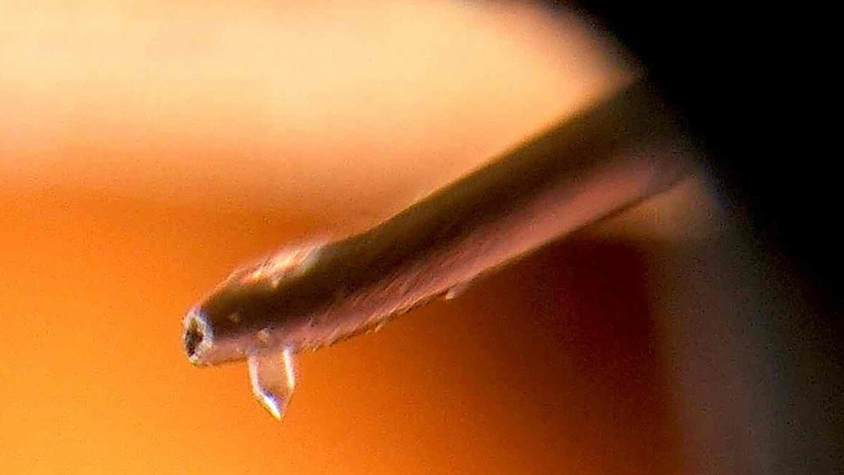 Головка звукоснимателя детальном разрешении 